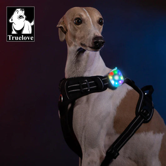 LED Light Pet Harness