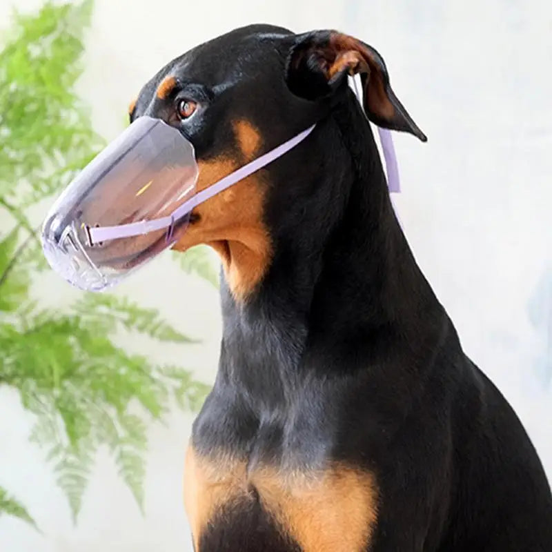 Pet Grooming Muzzles - MONLANE