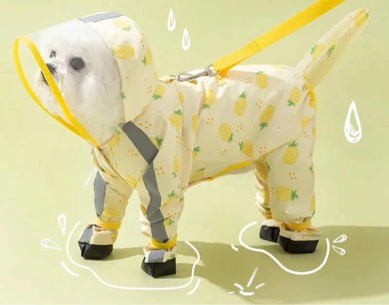 Puppy All-inclusive Raincoat