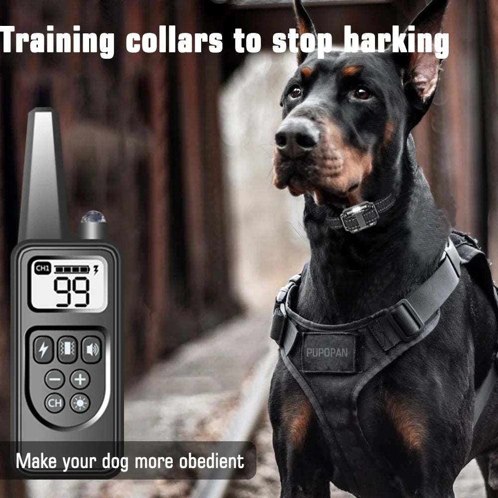 Dog Training Collar with Remote