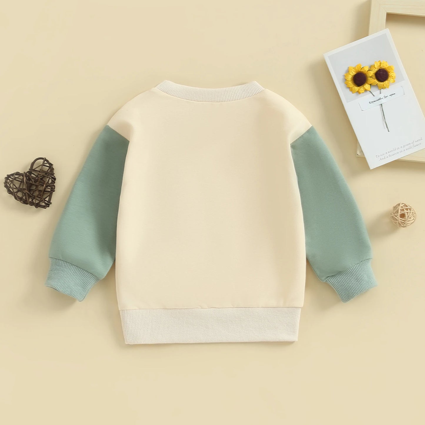 Baby Sweatshirt  Pullover